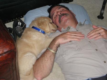 Reputable Golden Retriever Breeders - Robert and Ranger