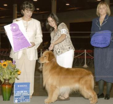 Reputable Golden Retriever Breeders - Melissa and Mack